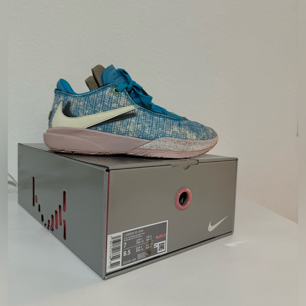 Nike LeBron XX All stars